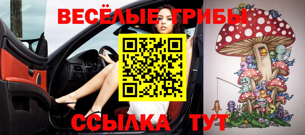Псилоцибиновые грибы ЛСД  Вход с VPN  Тимашёвск 